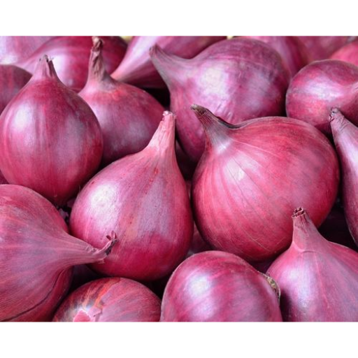 golti onions